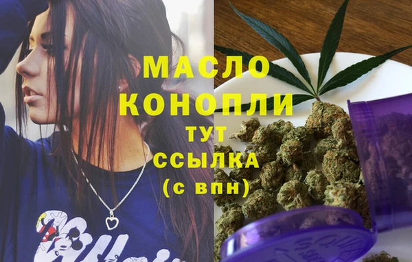 молекула духа Богородицк