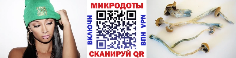 mega ССЫЛКА  наркошоп  Городовиковск  Галлюциногенные грибы мухоморы 
