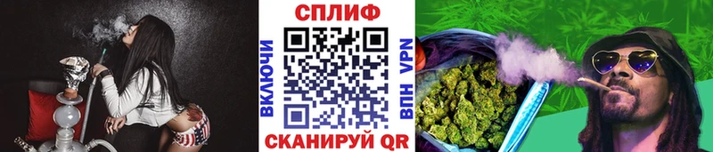 наркошоп  Городовиковск  Каннабис Amnesia 